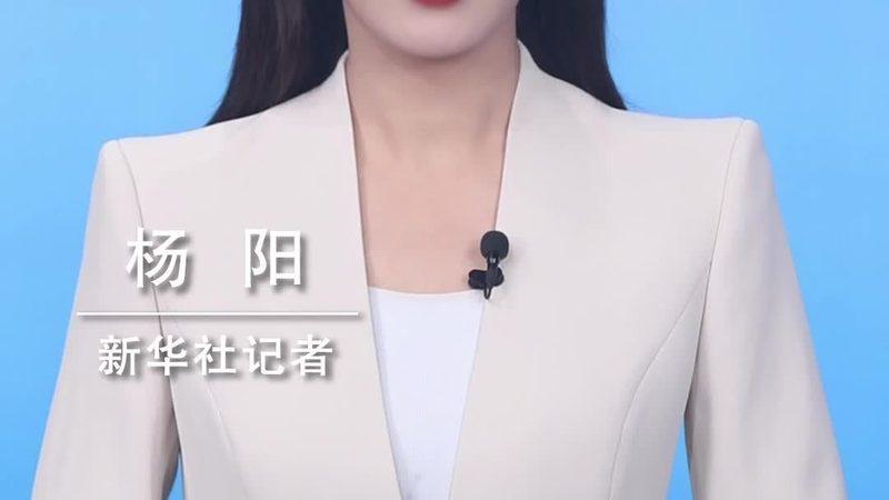 软件测试入门：关键步骤与注意事项
